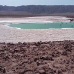 Baltinache Hidden Lagoons in Atacama - An In-Depth Look at the Baltinache Hidden Lagoons Tour