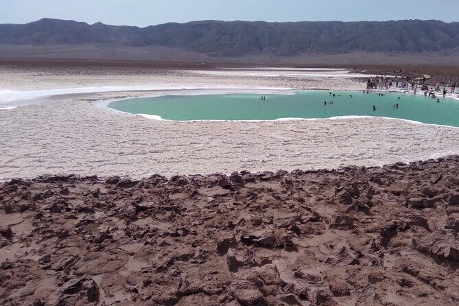Baltinache Hidden Lagoons in Atacama - An In-Depth Look at the Baltinache Hidden Lagoons Tour