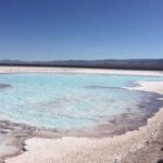Baltinache Lagoons AM - A Closer Look at the Baltinache Lagoons Tour