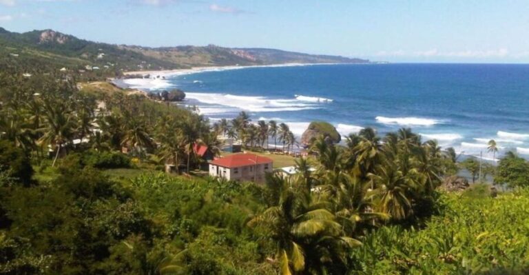 Barbados: 5.5-Hour Island Tour Plantation, Lunch and Drinks - Exploring the Heart of Barbados: A Balance of Culture, Nature, and Flavor