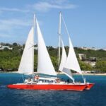 Barbados Catamaran Turtle and Shipwreck Snorkeling Cruise - The First Snorkeling Stop: Encounters with Turtles