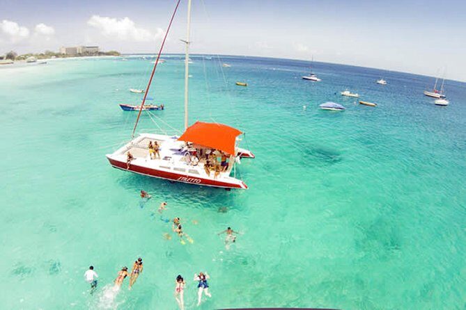 Barbados Catamaran Turtle Snorkel with Lunch and Open Bar - Final Thoughts