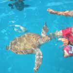 Barbados Catamaran Turtle Snorkel with Open Bar - The Sum Up