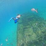 Barbados Glass Bottom Boat Cruise and Snorkeling - Who Is This Tour Best For?