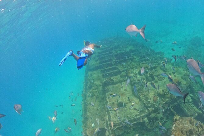 Barbados Glass Bottom Boat Cruise and Snorkeling - Who Is This Tour Best For?