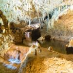 Barbados Harrison's Cave and Atlantis Submarine Dive Tour - Why This Tour Offers Great Value