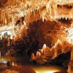 Barbados Harrison's Cave and St Nicolas Abbey Tour - Who Is This Tour Best For?