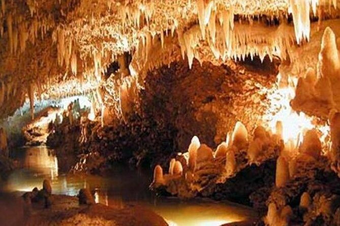 Barbados Harrison's Cave and St Nicolas Abbey Tour - Who Is This Tour Best For?