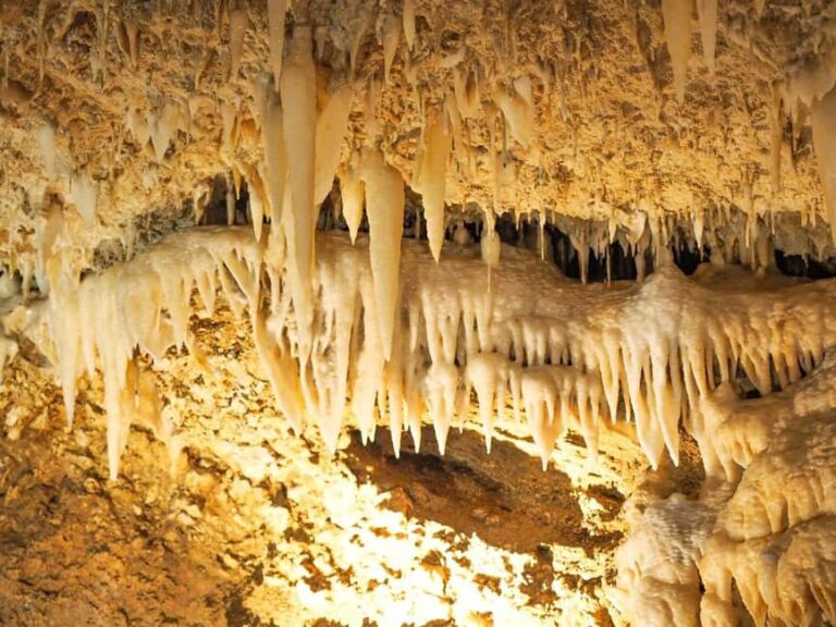 Barbados: Harrisons Cave & Huntes Gardens Tour - An In-Depth Look at the Harrison’s Cave & Huntes Gardens Tour