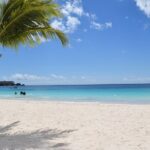 Barbados Harrison's Cave Tram Tour and Boat Cruise Snorkel Adventure - The Snorkel and Turtle Encounter