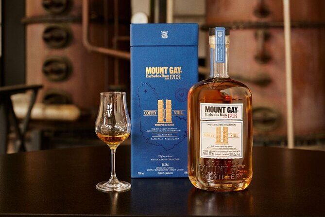 Barbados Highlights and Rum Tour - Who Should Take This Tour?