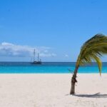 Barbados Island Highlights Half-Day Tour - Final Thoughts