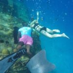 Barbados Island Tour, Monkey feeding & Swimming with the Turtles - What Those Who Travelled Say