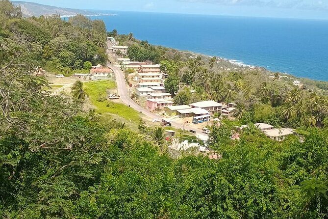 Barbados Private Custom Island Tour - In-Depth Look at the Itinerary