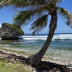 Barbados Shore Excursion Barbados Paradise Sightseeing Tour - Who Will Love This Tour?