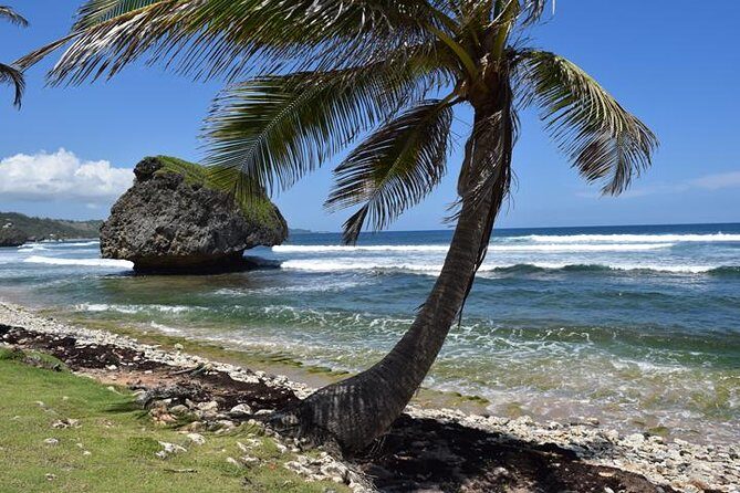 Barbados Shore Excursion Barbados Paradise Sightseeing Tour - Who Will Love This Tour?