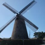 Barbados Sightseeing Plantation distillery tour, Lunch & Drink - A Deep Dive into the Barbados Sightseeing Plantation, Distillery, Tour