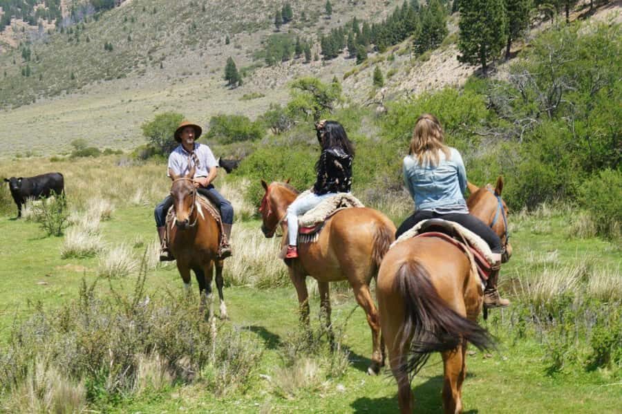 Bariloche: Guided horseback rides in the Patagonian steppe - Who Will Love This Tour?