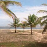 Barra do Cunhaú Full-Day Trip from Natal - Who Will Love This Experience?