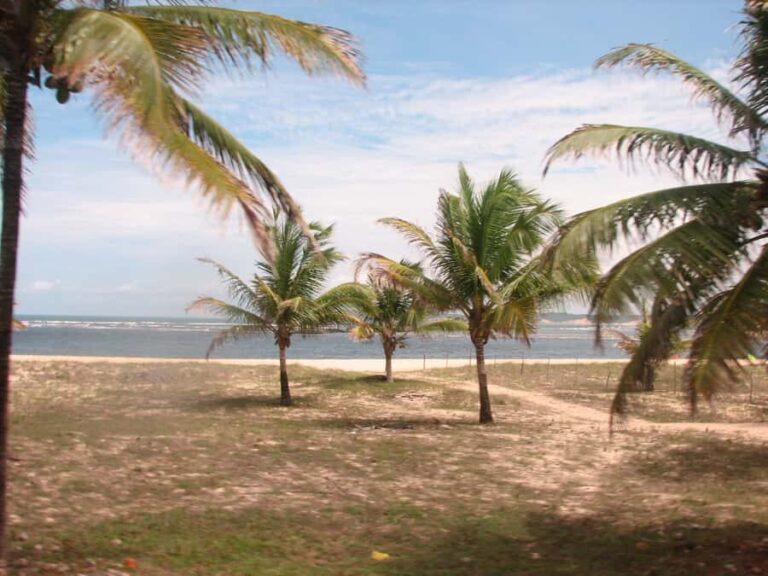 Barra do Cunhaú Full-Day Trip from Natal - Who Will Love This Experience?