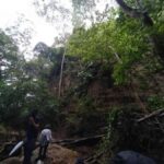 Barranquilla: Hike in the low obstion-juaruco forest - What’s Included and What to Consider