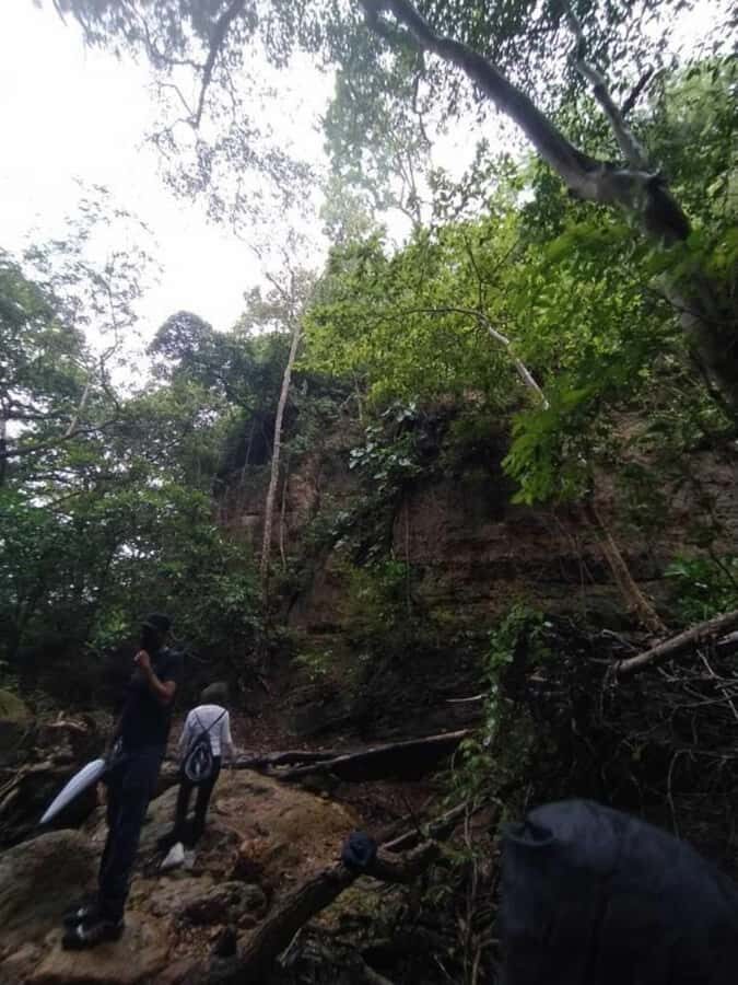 Barranquilla: Hike in the low obstion-juaruco forest - What’s Included and What to Consider