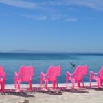 Barrier Reef Snorkel - The Value of This Tour