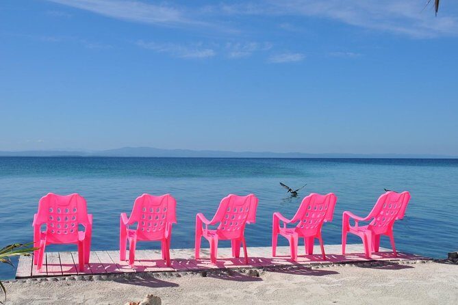 Barrier Reef Snorkel - The Value of This Tour