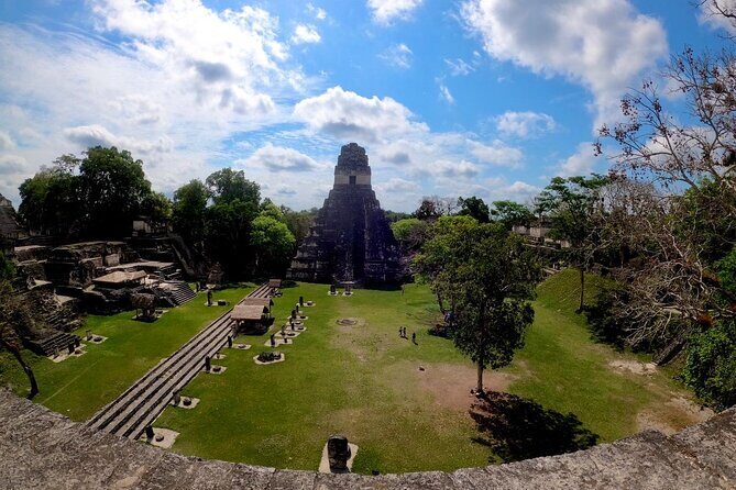 Basic Tour to Tikal Includes Transportation and Guide Service - A Deep Dive into the Tikal Tour Experience