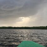 Basking in Nature during a Caroni Bird Sancturary Tour - The Sum Up