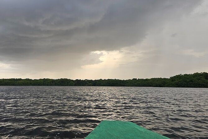 Basking in Nature during a Caroni Bird Sancturary Tour - The Sum Up
