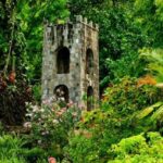 Basseterre: Plantation and Beach Extravaganza - Who is This Tour Best For?