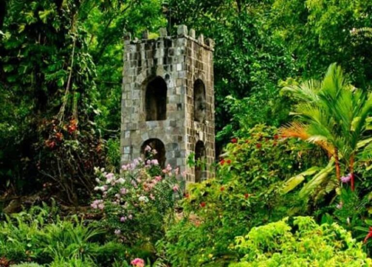 Basseterre: Plantation and Beach Extravaganza - Who is This Tour Best For?