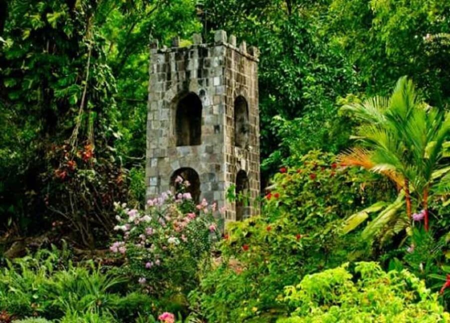 Basseterre: Plantation and Beach Extravaganza - Who is This Tour Best For?