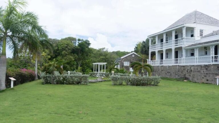 Basseterre Plantation Half Day Tour - Practicalities and Value