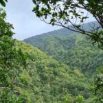 Basseterre Rainforest Hike - Frequently Asked Questions