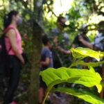 Bathing in the Forest Trail in Foz do Iguaçu - Frequently Asked Questions