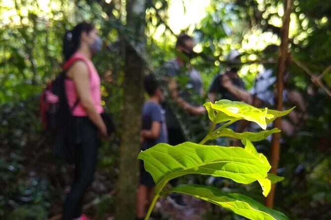 Bathing in the Forest Trail in Foz do Iguaçu - Frequently Asked Questions