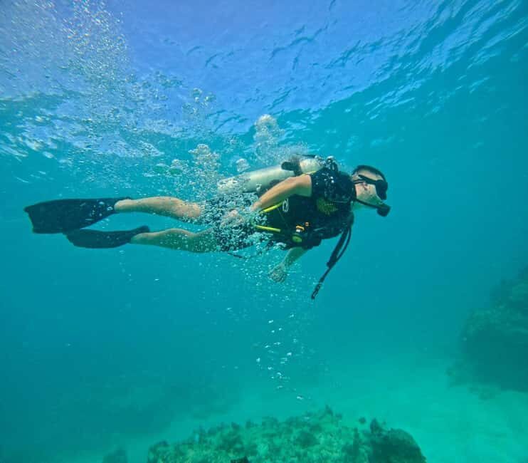 Bávaro: Scuba Diving Experience for Beginners - Authentic Experiences from Travelers