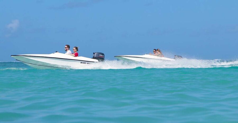 Bávaro: Speed Boat and Snorkeling Trip - The First Stop: The Natural Pool of Bavaro