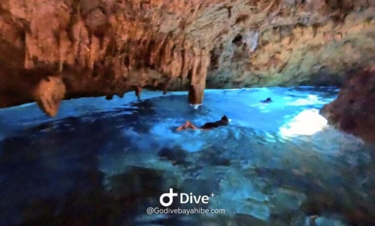Bayahibe - Cenotes Scuba Diving - Godive Bayahibe - An In-Depth Look at the Cenotes Scuba Diving Tour