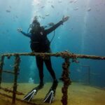 Bayahibe Diving - Exploring the Details: What to Expect from Bayahibe Diving