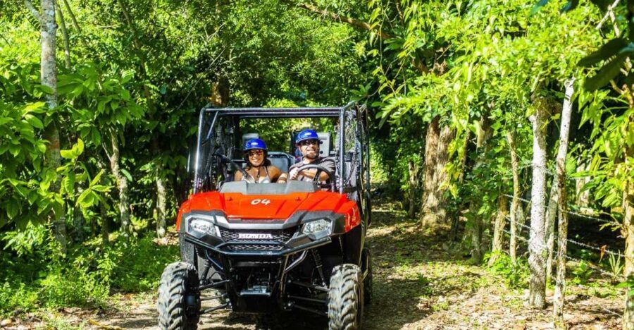 Bayahibe/La Romana: 4x4 Buggy and Monkeyland Tour - A Closer Look at the Tour Experience: What You Can Expect