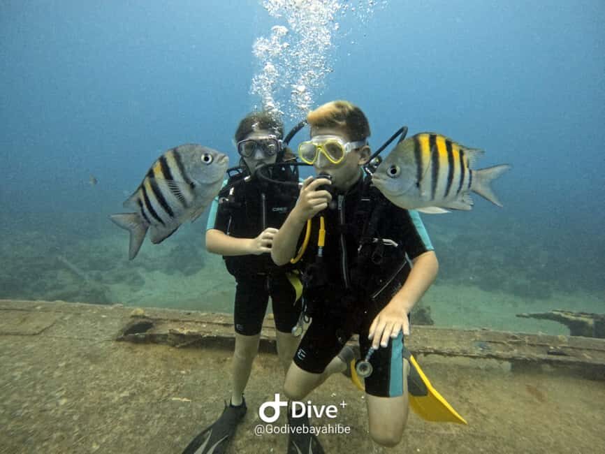 Bayahibe: PADI Open Water Course by Go Dive Bayahibe - FAQ