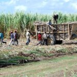 Bayahibe Safari Discovery - Final Thoughts: Is It Worth It?