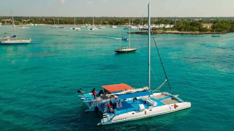 Bayahibe: Saona Island Catamaran Tour with Lunch & Drinks - Who Will Love This Tour?