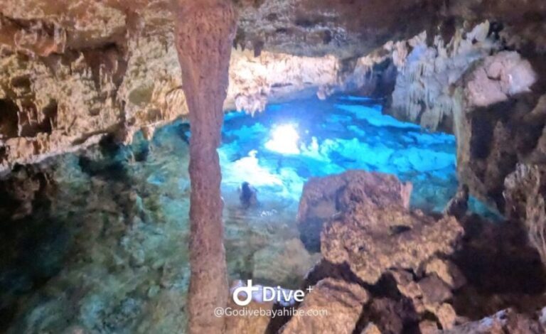 Bayahibe: Snorkeling Tour - Sea, Cotubanama park & Cenotes - Who Is This Tour Best For?
