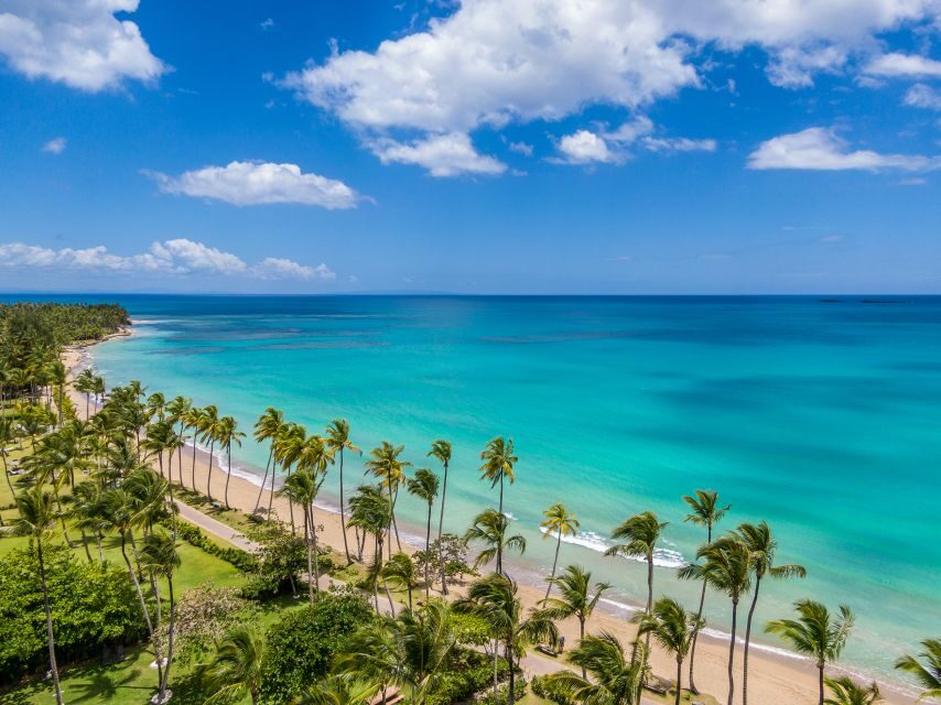 Bayahibe: Whale-Watching Cruise & Cayo Levantado Day Trip - Cayo Levantado: Beach, Food, and Relaxation