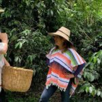 Be a farmer for one day (Coffee farm experience) - FAQs