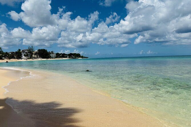 Beach BodyPump Workout in Barbados Train with a Certified Coach - Who Is This Experience Best For?